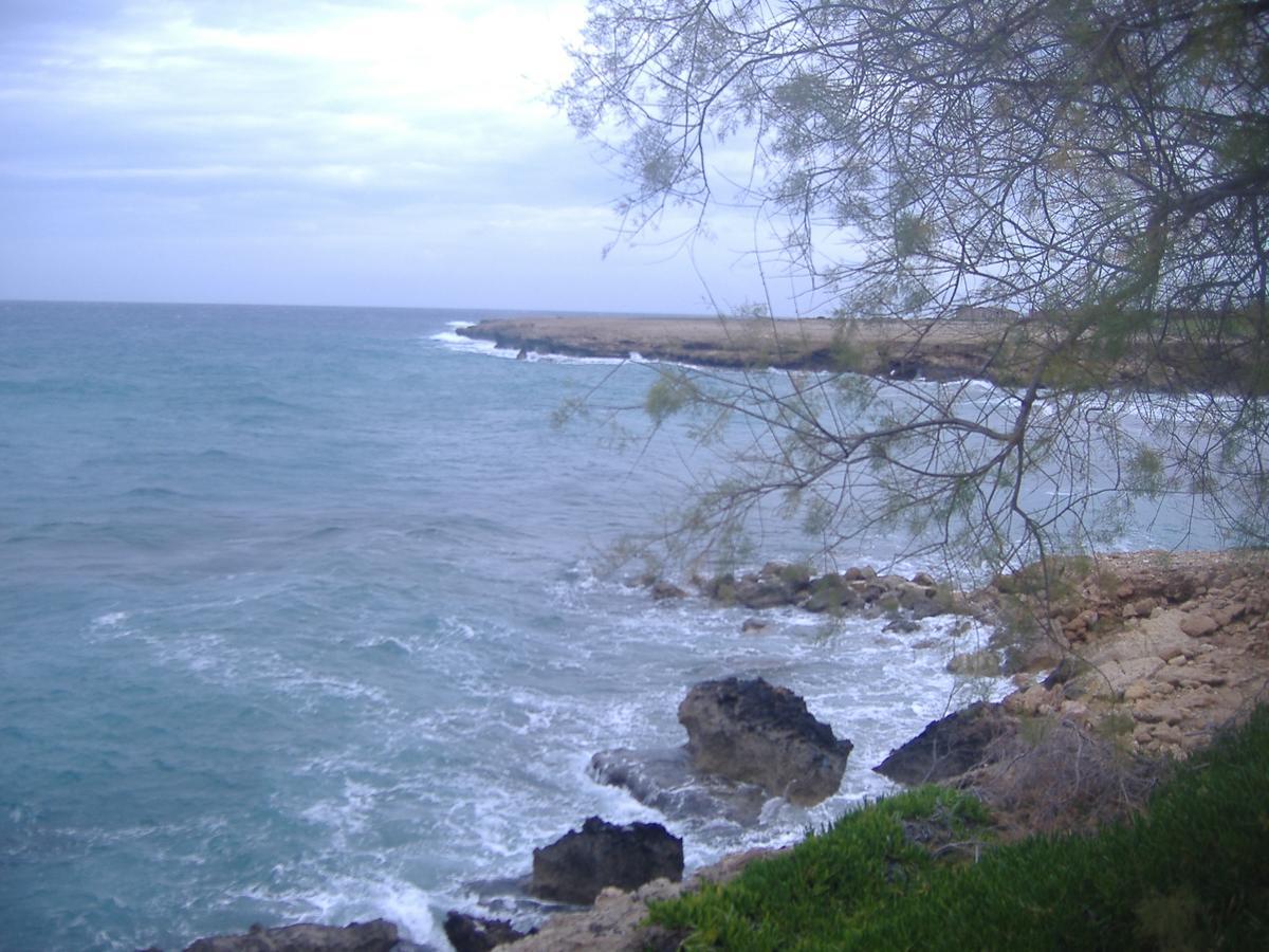 Agia Trias Theresa Hotel At Karpaz Peninsula מראה חיצוני תמונה
